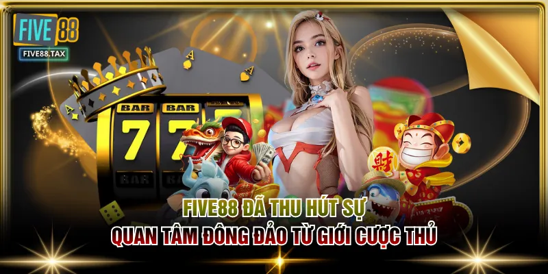 FIVE88 đã thu hút sự quan tâm đông đảo từ giới cược thủ