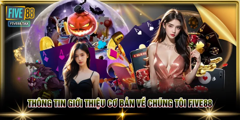 Thông tin giới thiệu cơ bản về chúng tôi FIVE88
